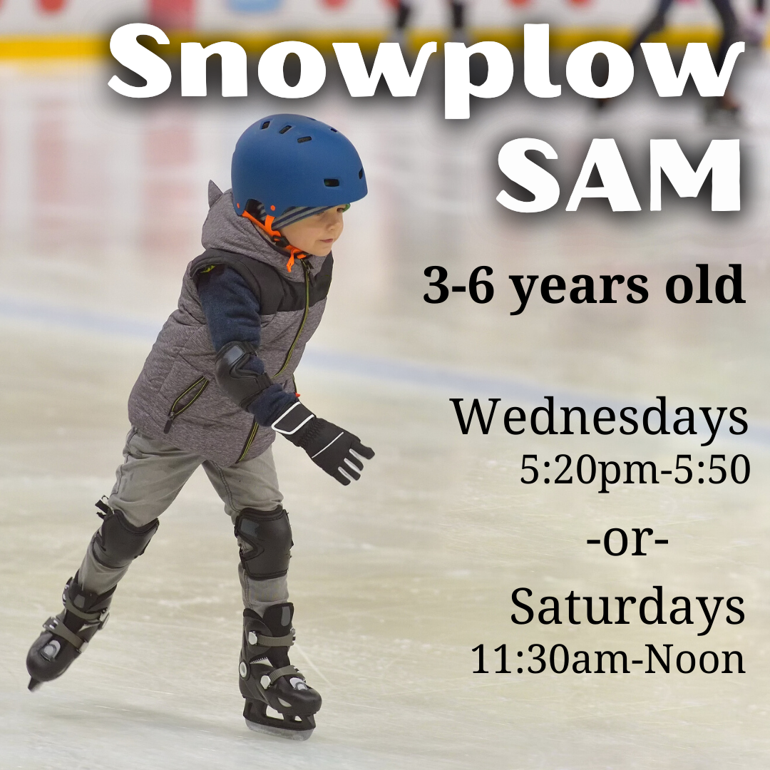 Snowplow SAM
